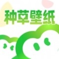种草壁纸2025最新版本