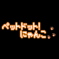 白猫的奇妙生活