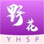 野花日本hd
