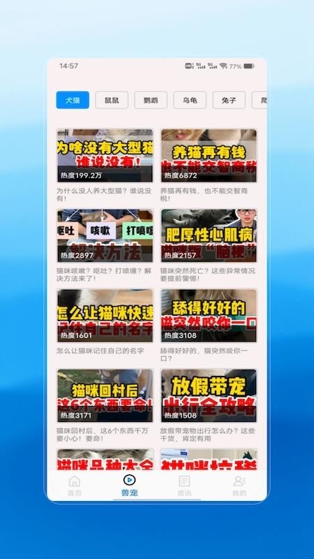 执业兽医