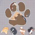 拼拼图