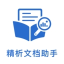 精析文档助手