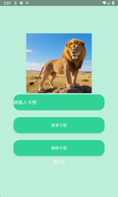 狮子王直装稳定版