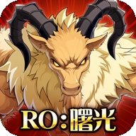 RO仙境传说曙光