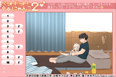 白猫的奇妙生活