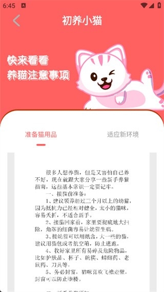 猫语空间