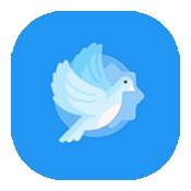 白鸽软件盒子