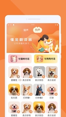 懂宠翻译器