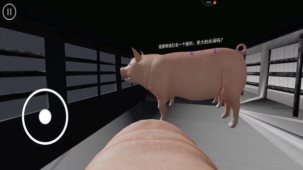 小猪派对