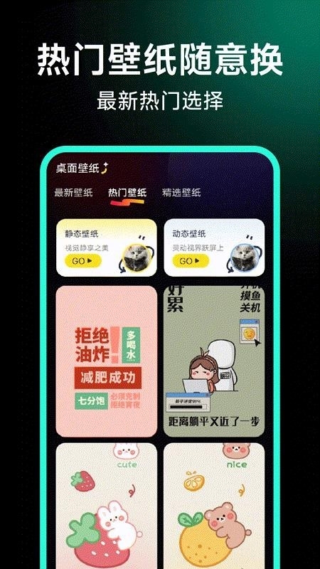 个人隐私电影播放器