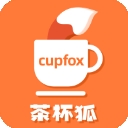 茶杯狐