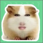 猪妞语音盒