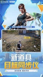 和平精英美化包