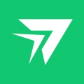 raylink远程