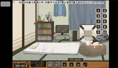 白猫的奇妙生活