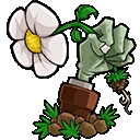 植物大战僵尸转基因版