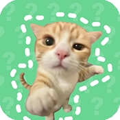 猫meme语音盒