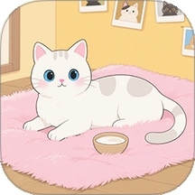 ymbollab（养猫指南）