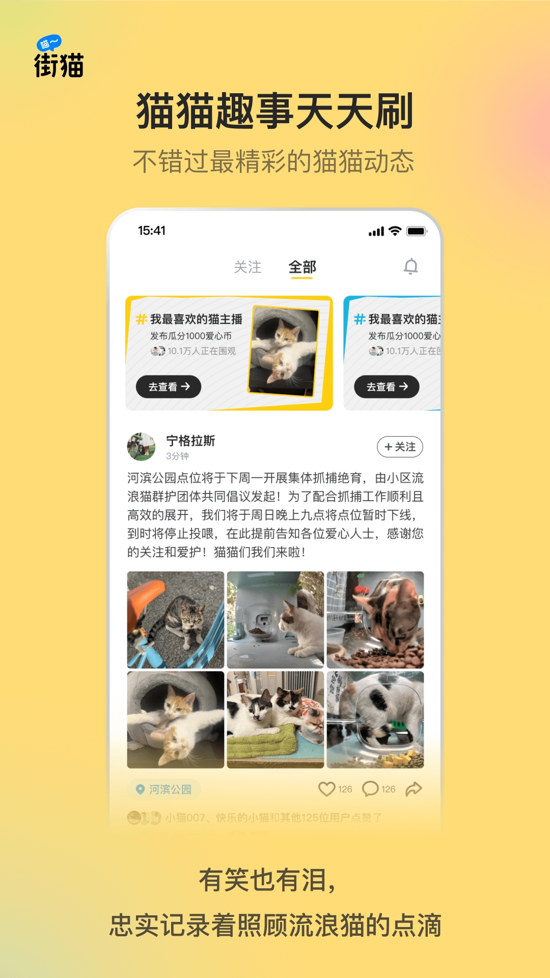 街猫