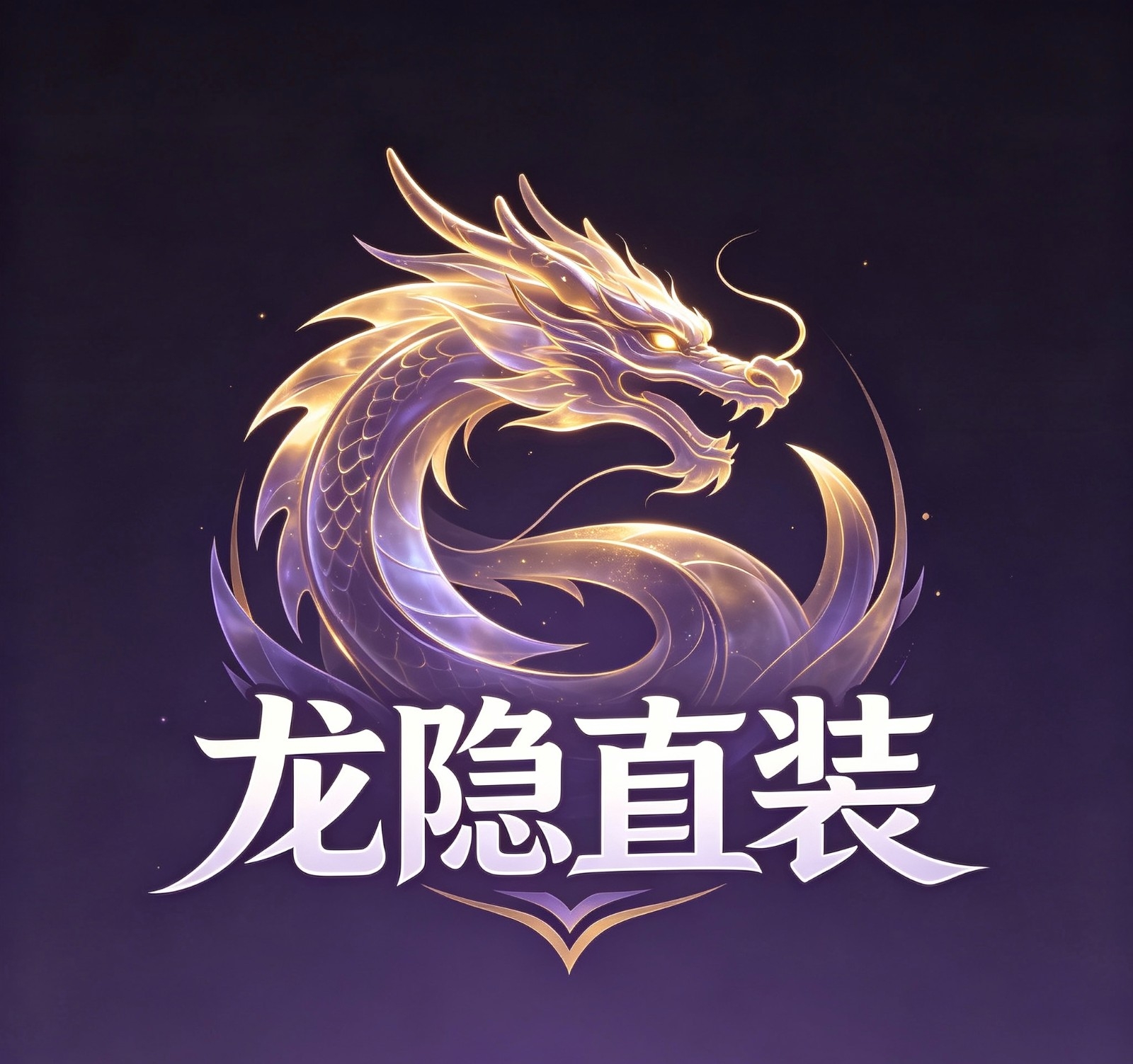 龙隐直装