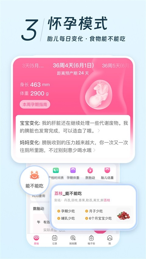 美柚app