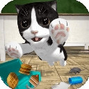 猫咪模拟器