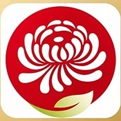 菊花直播
