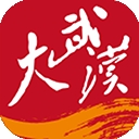 大武汉