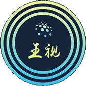 王视视频