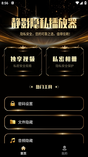 静影隐私播放器