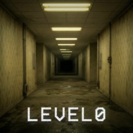 后室观察者异常