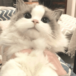 牢大防火墙