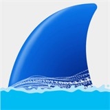 抓包工具wireshark