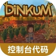 Dinkum控制台代码大全