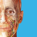 人体解剖学图谱
