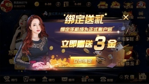 325旧版游戏版本