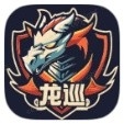 龙巡容器